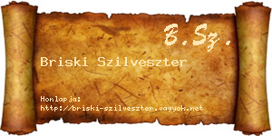 Briski Szilveszter névjegykártya
